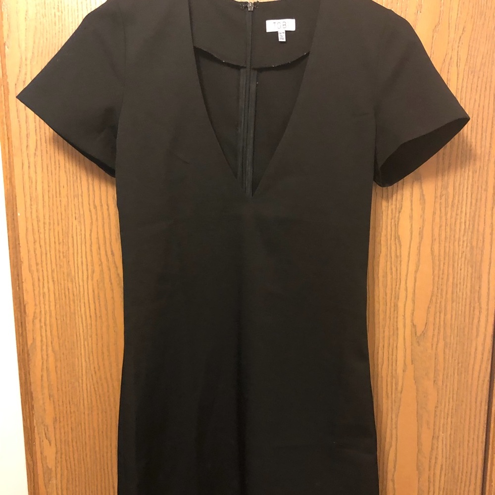 Tobi Fitted V-neck Dress